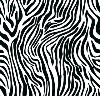 斑马纹图片