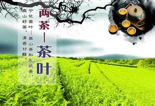 茶田图片