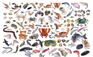 海鲜大全免抠图片