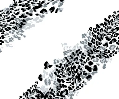 斜豹纹 豹纹 大牌  爆款 热图片