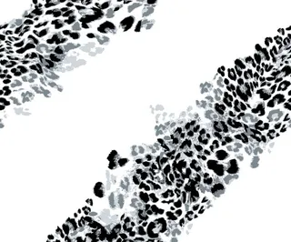 斜豹纹 豹纹 大牌  爆款 热图片