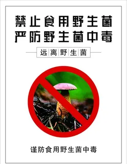 禁止食用野生菌图片
