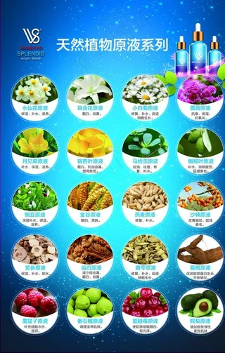 VVS 化妆品  美容  养生图片