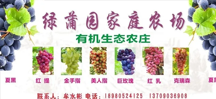 葡萄农庄大门宣传板图片