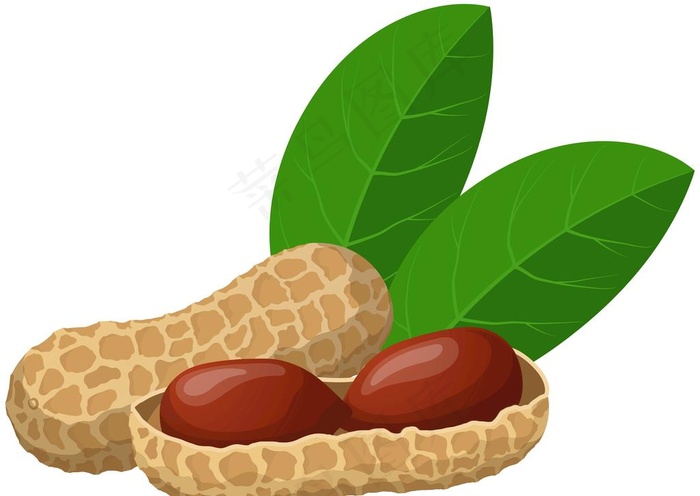 花生图片