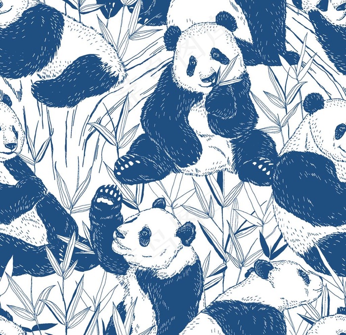 熊猫图片