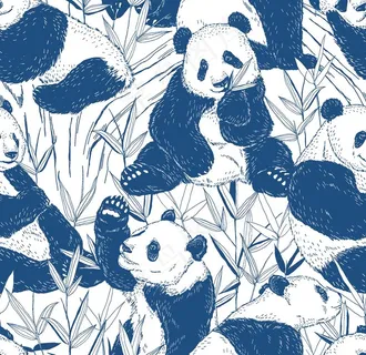 熊猫图片