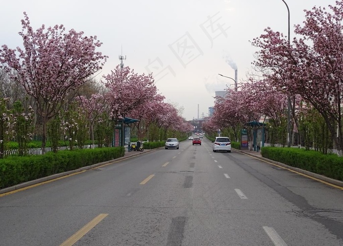一路美景图片