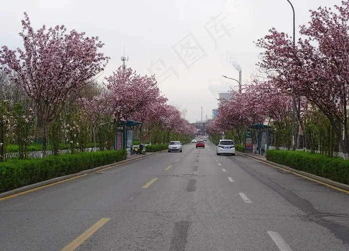 一路美景图片