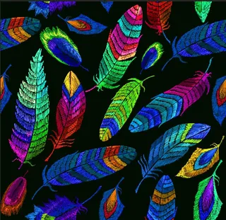 手绘彩色羽毛图片