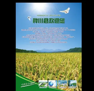 绿色稻米之乡 桦川图片