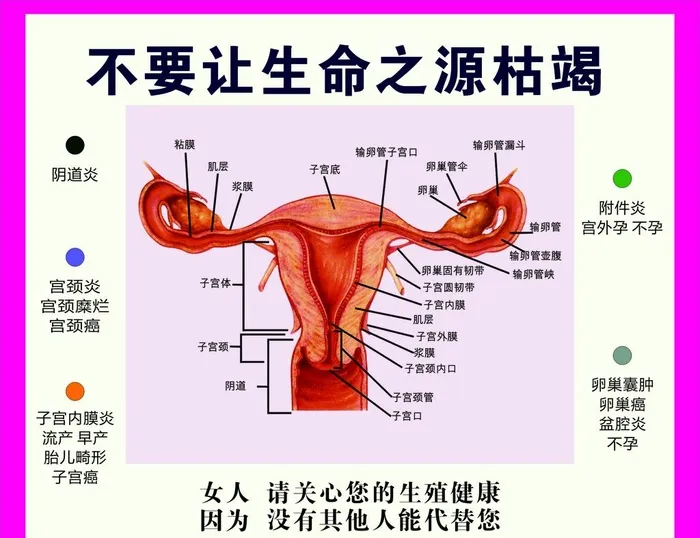 不要让生命之源枯竭图片cdr矢量模版下载