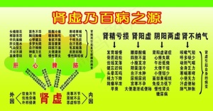 医学版面图片