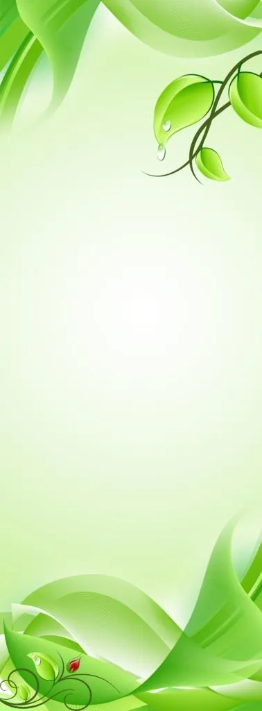 绿色X展架图片(3024x7559)psd模版下载