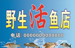 鱼店招牌门头图片