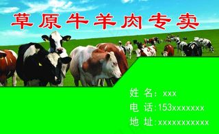 牛羊肉名片图片