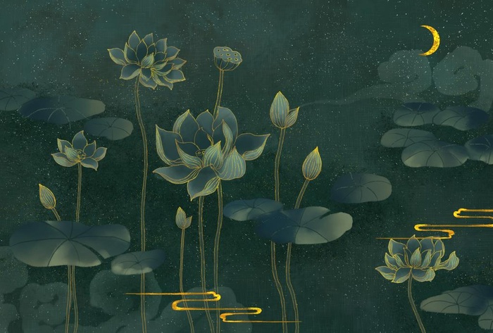 荷花荷叶池塘图片