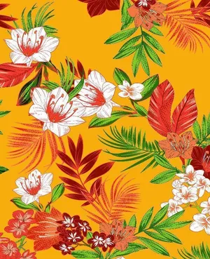 热带花图片