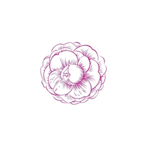 矢量茶花图片