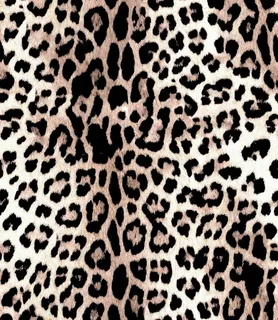 豹纹 大牌 图片