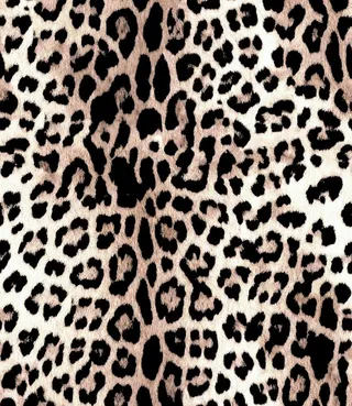 豹纹 大牌 图片