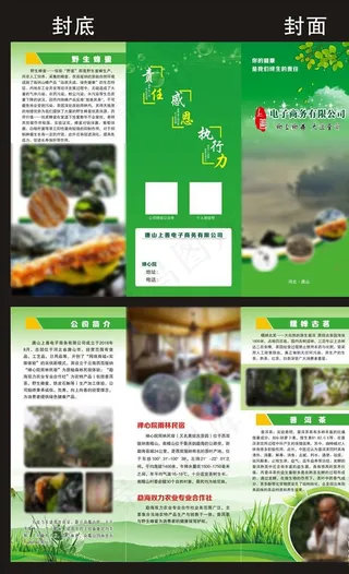 绿色三折页图片