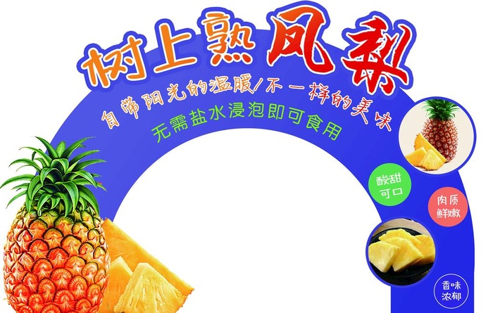 凤梨促销牌图片