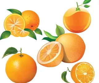 橘子素材图片