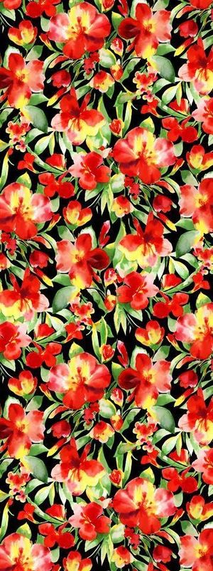 花朵 花卉 欧美印花 各种花图片