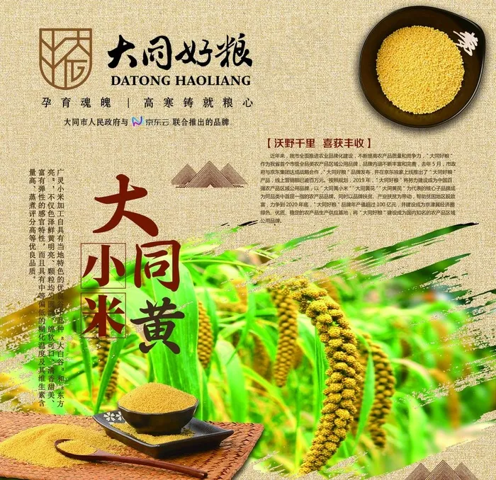 黄小米简介展板图片psd模版下载