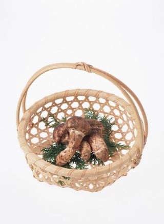 无公害蔬菜          图片