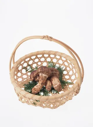 无公害蔬菜          图片