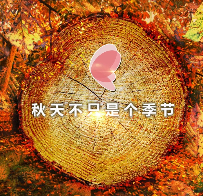 原始秋风年轮图片