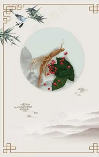 中医养生背景图片 中医养生背景图片