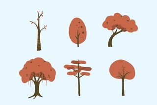 卡通树图片