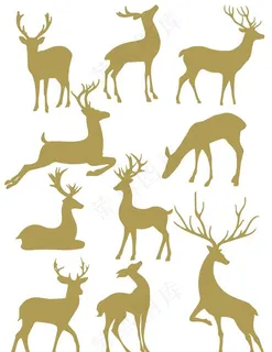鹿图片
