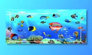 海洋鱼水族馆图片