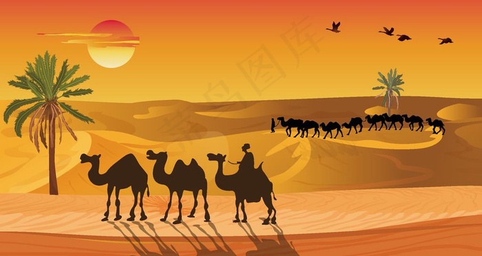 沙漠骆驼插画图片