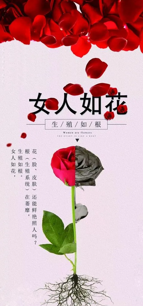女人如花图片(5904x11812)psd模版下载