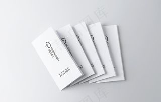 三折页样机图片