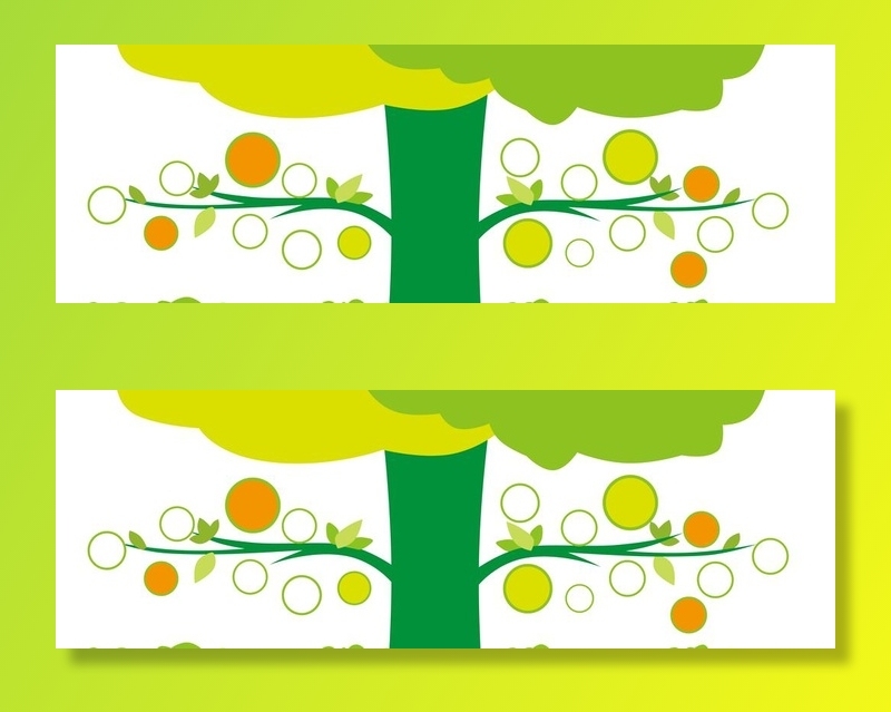 幼儿园文化墙图片