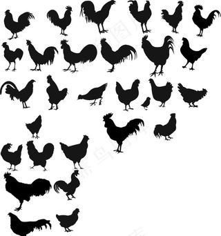 鸡剪影图片