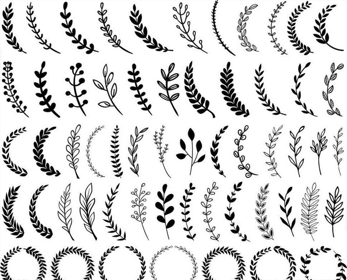 矢量植物叶子花环图片