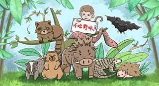 拒绝野味公益卡通背景海报素材图片