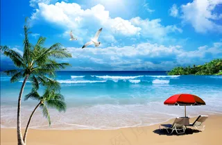 海边蓝天海鸥椰树风景图片