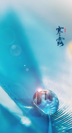 寒露图片