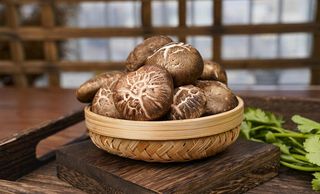 香菇高清特写图片