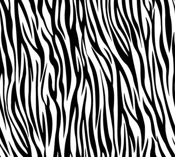 斑马纹图片 斑马纹图片