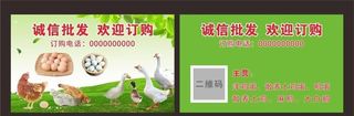 家禽 禽蛋销售名片图片
