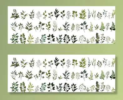 小草 树叶图片 小草 树叶图片